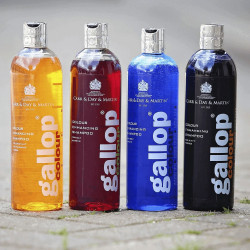 Shampoo Gallop® Carr & Day & Martin per nocciola e palomino Shampoo Gallop® Carr & Day & Martin per nocciola e palomino
