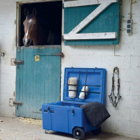 Baule orizzontale con ruote La Gée Blu