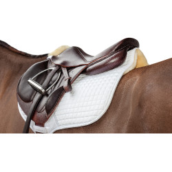Tappeto LeMieux close contact HL square Tappeto LeMieux close contact HL square
