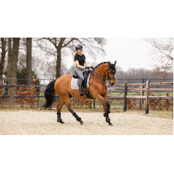 Sottosella da dressage LeMieux - cotone Grigio Sottosella da dressage LeMieux - cotone Grigio