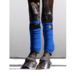 Fasce da polo LeMieux Luxury Blu benetton