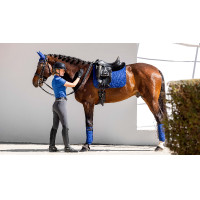 Fasce da polo equitazione LeMieux eleganti Fasce da polo equitazione LeMieux eleganti