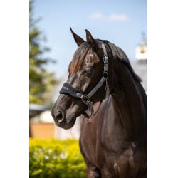 Capestro e lunghina Lemieux Vogue Nero / grigio