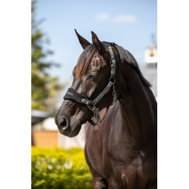 Capestro e lunghina Lemieux Vogue Nero / grigio