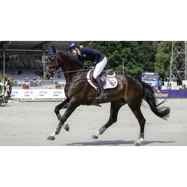 Sottosella LeMieux Prosport close contact square - cotone Bianco Sottosella LeMieux Prosport close contact square - cotone Bianco