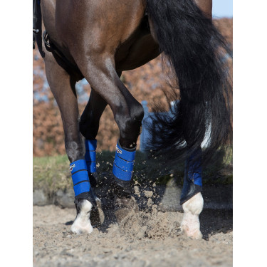 Stinchiere LeMieux Grafter Stinchiere LeMieux Grafter