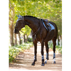 Stinchiere LeMieux Grafter Ice blue modello vecchio