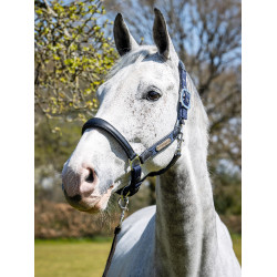 Capestro Capella LeMieux Blu navy