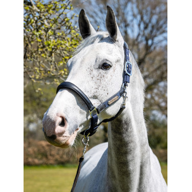 Capestro Capella LeMieux Blu navy