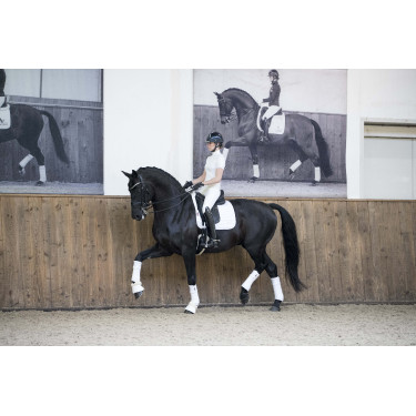 Sottosella LeMieux Loire Classic Dressage Square Sottosella LeMieux Loire Classic Dressage Square