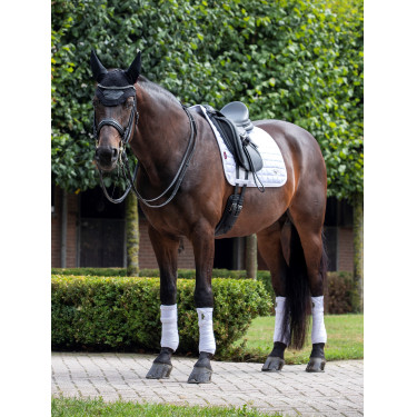 Sottosella LeMieux Loire Classic Dressage Square Sottosella LeMieux Loire Classic Dressage Square