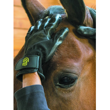 Guanto da striglia LeMieux Hands On Guanto da striglia LeMieux Hands On