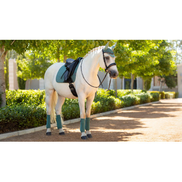 Fasce da polo LeMieux Luxury Saggio Blu