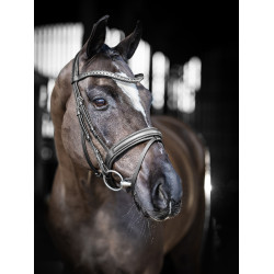 Briglia da dressage LeMieux Arika Briglia da dressage LeMieux Arika