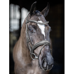 Briglia da dressage LeMieux Arika Briglia da dressage LeMieux Arika