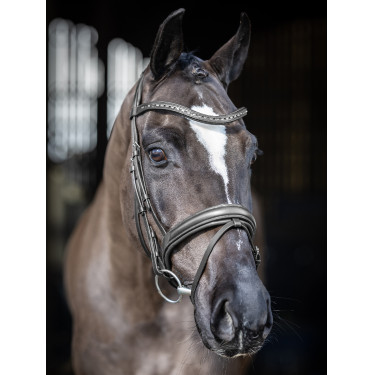 Briglia da dressage LeMieux Arika Briglia da dressage LeMieux Arika
