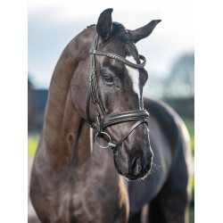Briglia da dressage LeMieux Arika Briglia da dressage LeMieux Arika