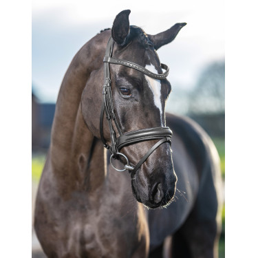 Briglia da dressage LeMieux Arika Briglia da dressage LeMieux Arika