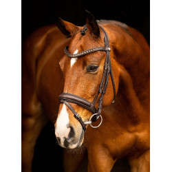 Briglia da dressage LeMieux Arika Marrone / argento