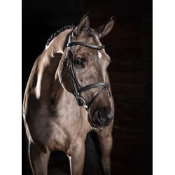 Briglia LeMieux Arika con capezzina combinata Briglia LeMieux Arika con capezzina combinata