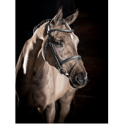 Briglia LeMieux Arika con capezzina combinata Briglia LeMieux Arika con capezzina combinata