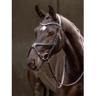Briglia LeMieux Arika con capezzina incrociata Briglia LeMieux Arika con capezzina incrociata