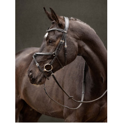 Briglia LeMieux Arika con capezzina incrociata Nero / argento Briglia LeMieux Arika con capezzina incrociata Nero / argento