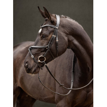 Briglia LeMieux Arika con capezzina incrociata Briglia LeMieux Arika con capezzina incrociata