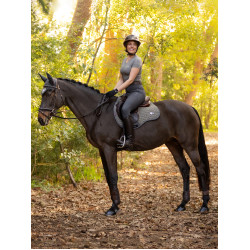 Sottosella LeMieux Earth GP Square Muschio Marrone