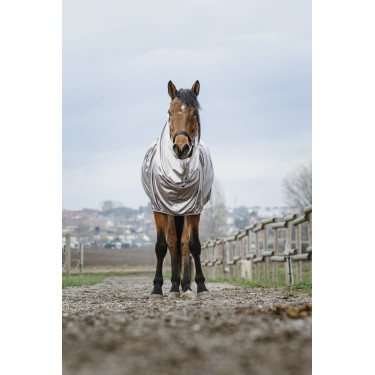 Camicia anti-eczema Riding World Camicia anti-eczema Riding World