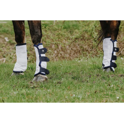 Paranocche anti-mosche Riding World in confezione da 4 Paranocche anti-mosche Riding World in confezione da 4