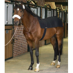 Scaldaschiena Back Warmer Royal Scaldaschiena Back Warmer Royal