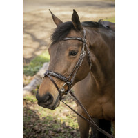 Bridon Pénélope Smoothie Avana Marrone
