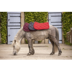 Tappeto Paddock Sports Prems Tappeto Paddock Sports Prems