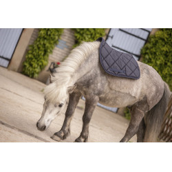 Tappeto Paddock Sports Prems Tappeto Paddock Sports Prems