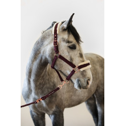 Capestro e Lunghina Harcour Holly Viola