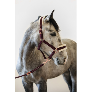 Capestro e Lunghina Harcour Holly Viola