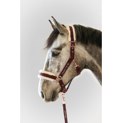 Capestro e Lunghina Harcour Holly Viola