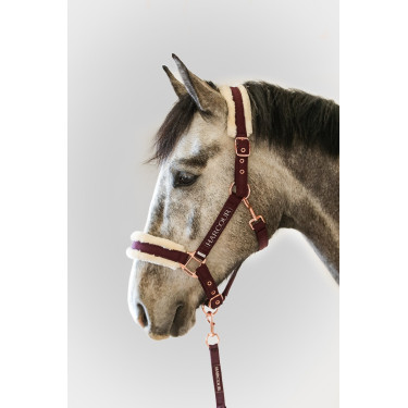 Capestro e Lunghina Harcour Holly Viola