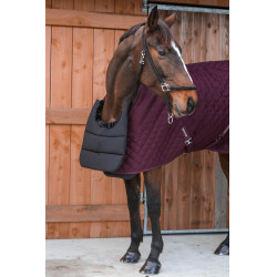 Pettorale protettivo Harcour Gala Nero Pettorale protettivo Harcour Gala Nero