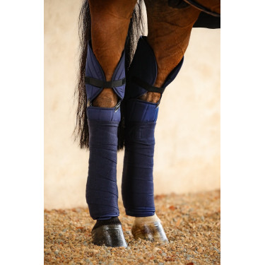 Paratendini Harcour Cavaletti Paratendini Harcour Cavaletti