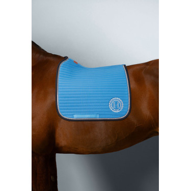 Sottosella Rider Harcour Karembar Sottosella Rider Harcour Karembar