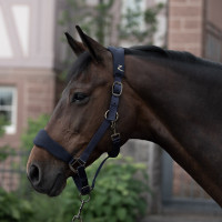 Capezzina imbottita Graz Horze Peacoat blu scuro Capezzina imbottita Graz Horze Peacoat blu scuro