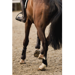 Stinchiere e paranocche Horze Armour Airflow Marrone scuro Stinchiere e paranocche Horze Armour Airflow Marrone scuro