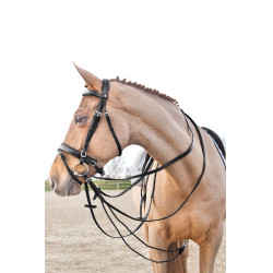 Redini in cuoio/nylon tipo tedesco Horze Sparta Nero Redini in cuoio/nylon tipo tedesco Horze Sparta Nero