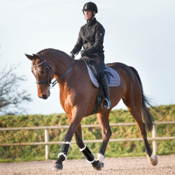 Stinchiere chiuse Horze Signature Nero Stinchiere chiuse Horze Signature Nero