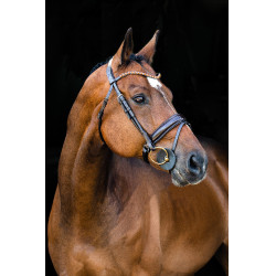 Filet anatomico Clermont Horze Filet anatomico Clermont Horze