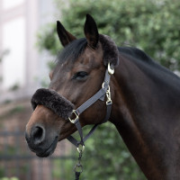 Capezzina B Vertigo Laurier vera lana d'agnello Marrone Capezzina B Vertigo Laurier vera lana d'agnello Marrone