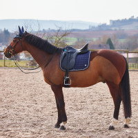 Sottosella da dressage Zurich Sottosella multipurpose Zurich B Vertigo Bianco