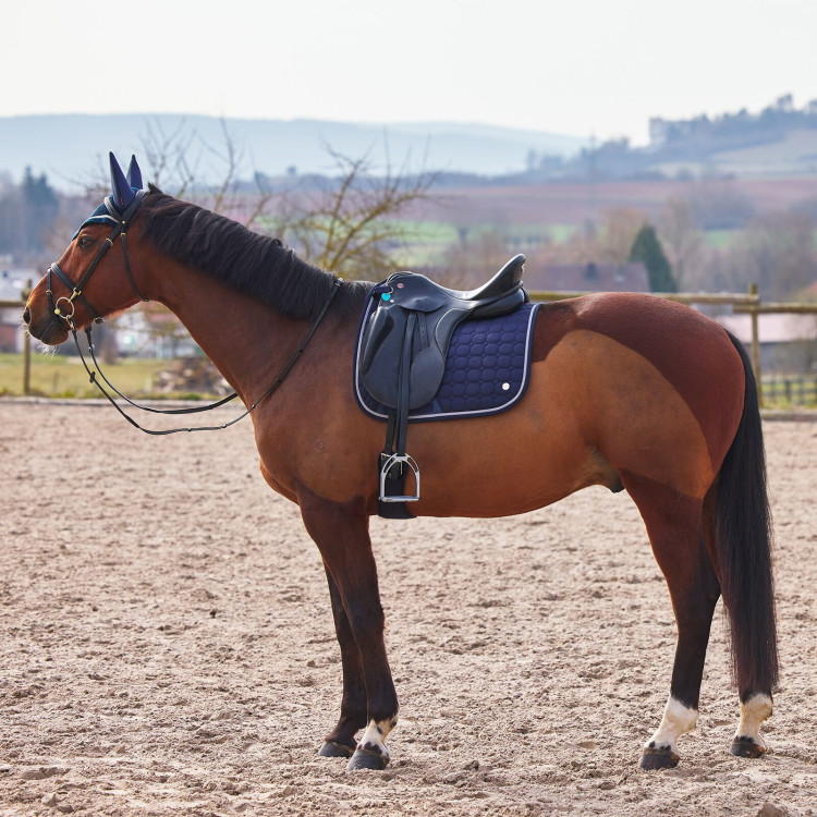 Sottosella da dressage Zurich Sottosella multipurpose Zurich B Vertigo Sottosella da dressage Zurich Sottosella multipurpose Zurich B Vertigo